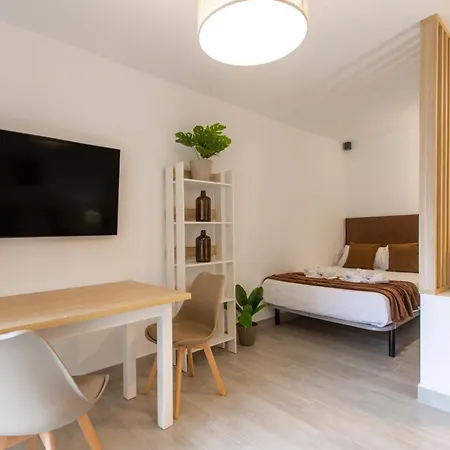 Apartment Estudio Centrico En Santa Lucia *